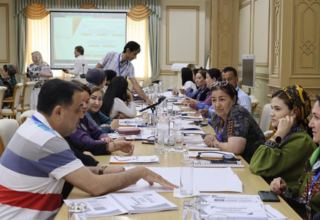 Enhancing Psychosocial Support Services in Turkmenistan: A Training Program for Frontline Professionals