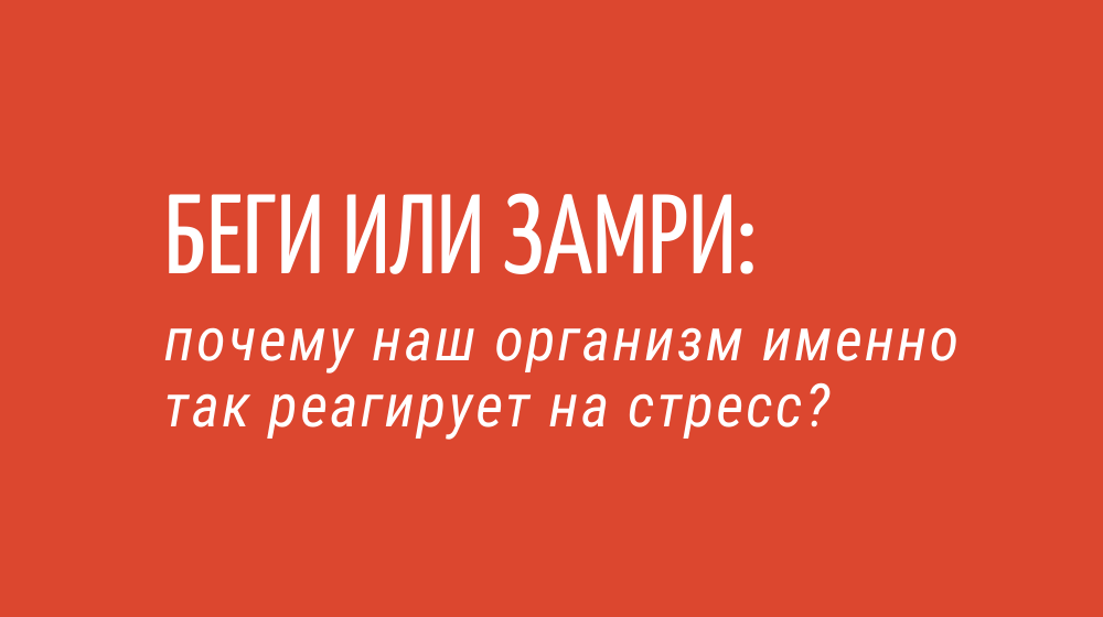 Беги или замри: почему наш организм именно так реагирует на стресс?