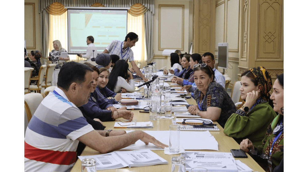Enhancing Psychosocial Support Services in Turkmenistan: A Training Program for Frontline Professionals