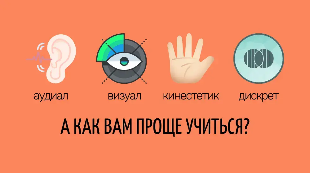 Визуал, аудиал, кинестетик, дискрет: а как вам проще учиться?