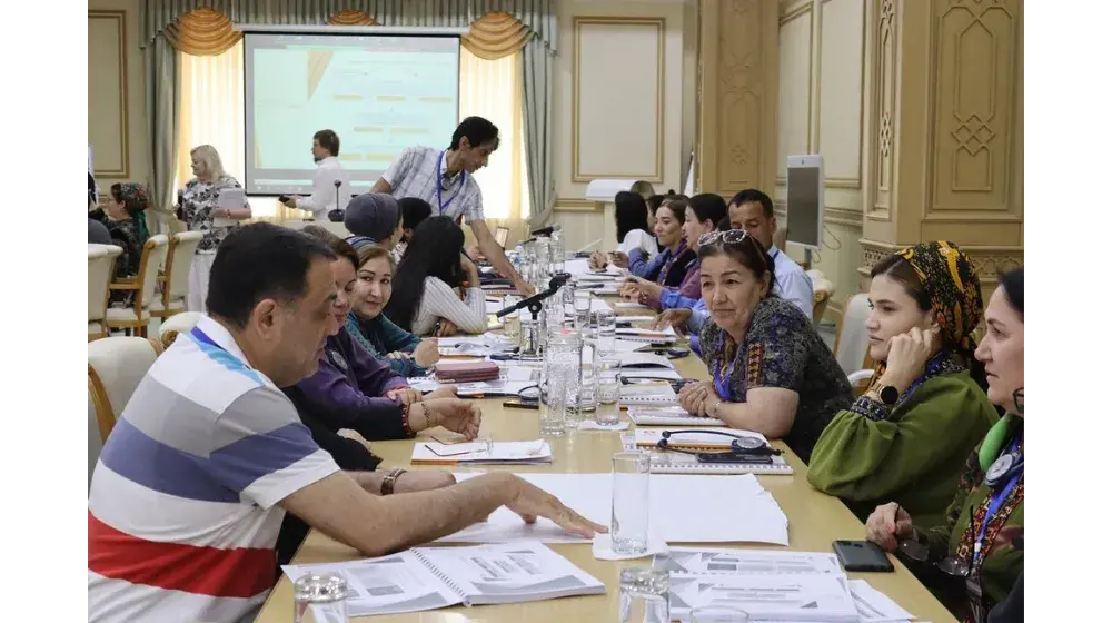 Enhancing Psychosocial Support Services in Turkmenistan: A Training Program for Frontline Professionals