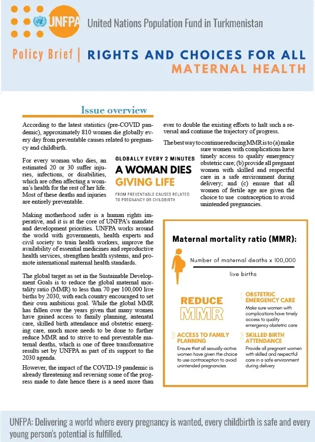 Policy Brief "Rights and Choices for All: Maternal Health" 