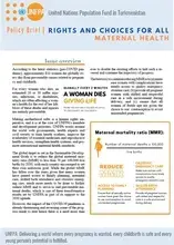 Policy Brief "Rights and Choices for All: Maternal Health" 